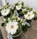Thank You Bouquet