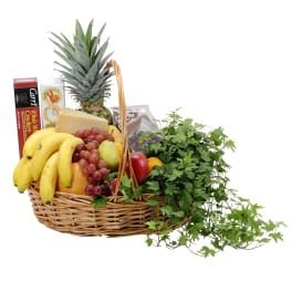 Fabulous Fruit and More Basket TMF-505
